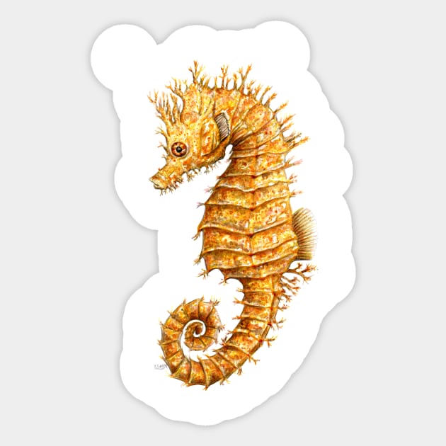 Yellow seahorse Hippocampus Sticker by chloeyzoard